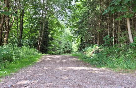 Wohlfühl-Ferienwohnung mit Tiefgarage im Grünen - Photo 36