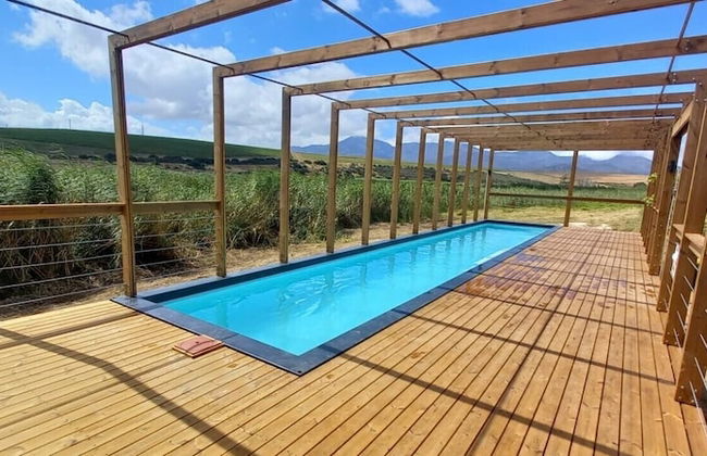 Endless Vineyards at Wildekrans Wine Estate - Photo 20