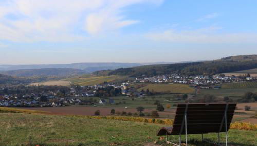 Weingut-Ferienwohnungen Lorenz - nur Urlaubsgäste - Foto 5