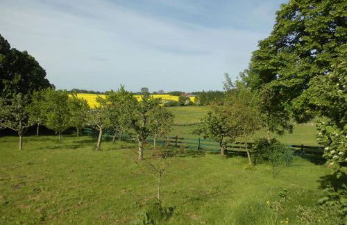 Holiday Home Haus in Zimmert mit Terrasse- Grill und Garten by Interhome - Photo 7