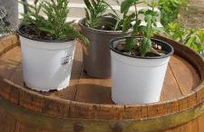 Apartment Anamaria - Foto 7