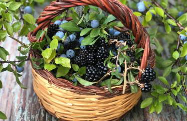 La Casella Antico Feudo di Campagna - Foto 96