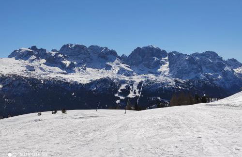 Residence Alice - Foto 12