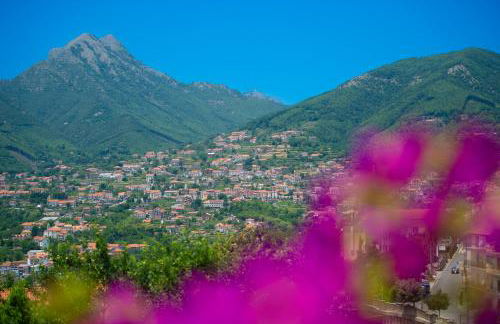 Rosa Maison - Foto 35