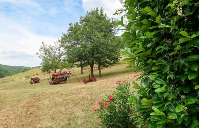 Le Prunier - Foto 20