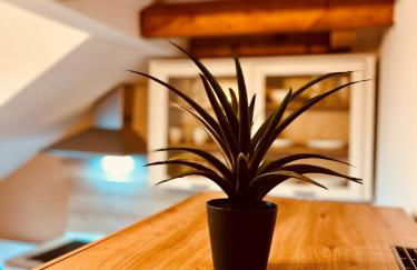 Apartments am Exerzierplatz Pirmasens - Foto 18