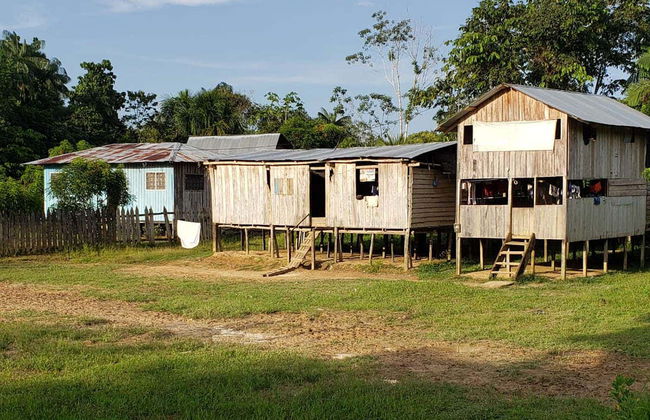 Excursão ao santuário de macacos de Mocagua - Foto 6