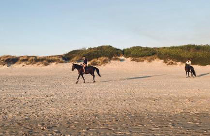 Best Beach Front Villa with Heated Pool - Sea La Vie - Photo 25