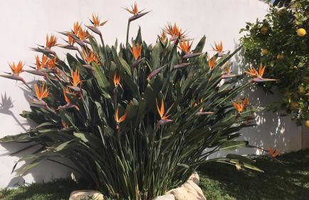 Apartment Torrecilla - Foto 39