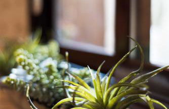 Casa Rural Bellamonte - Foto 24