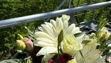 Ferienwohnung Krabbenkoje - Nordseeurlaub in hochwertiger FeWo mit großem Balkon im idyllischen Butjadingen - Foto 4