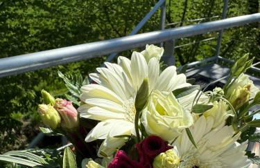 Ferienwohnung Krabbenkoje - Nordseeurlaub in hochwertiger FeWo mit großem Balkon im idyllischen Butjadingen - Foto 4