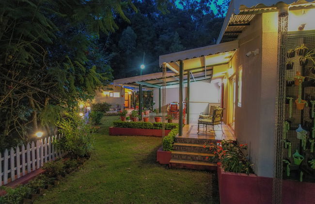 Rayne Forest - Foto 17