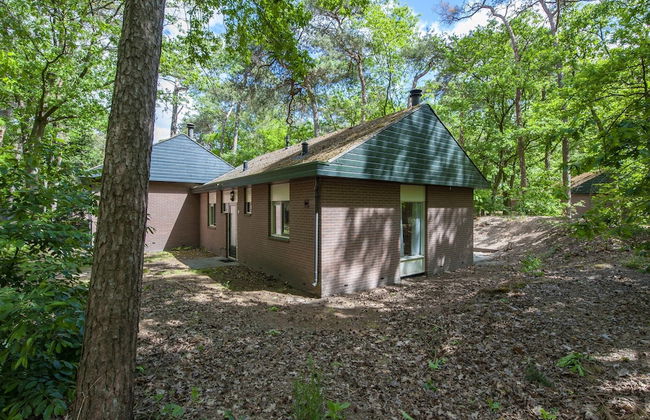 Bungalow in De Peel by Tranquil Forest - Photo 21