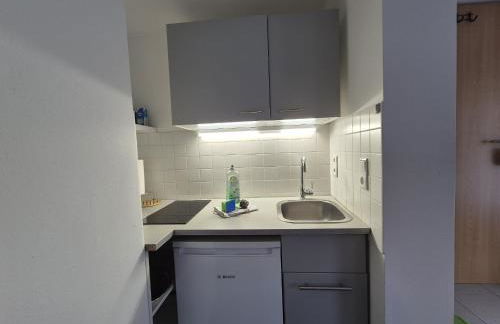 Mikra Homes24 in Meerane - Foto 4