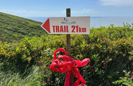 Villa Pescaria - Foto 27