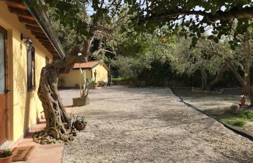 Bouganville in Villa Greco - Foto 30