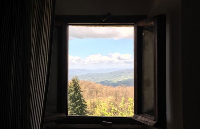 Agriturismo La Casina della Burraia - Photo 41