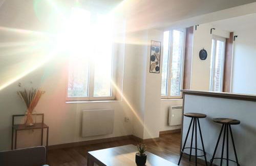 Appartement lumineux et pratique Séjour pro Lille - Foto 23