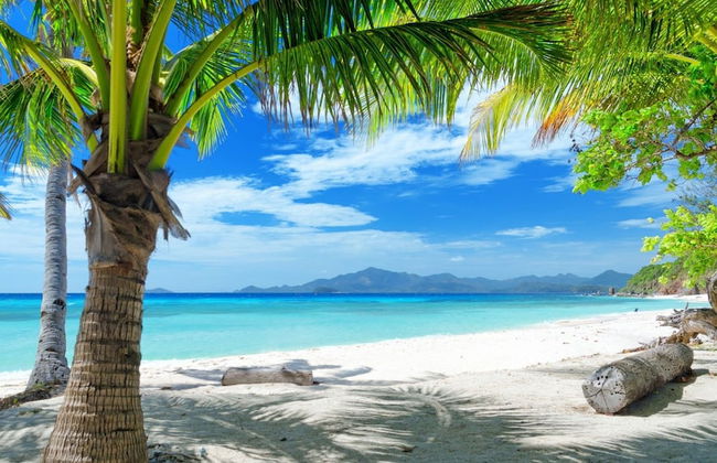 Royale Suites by Arc Royale Luxury Apts - Photo 1