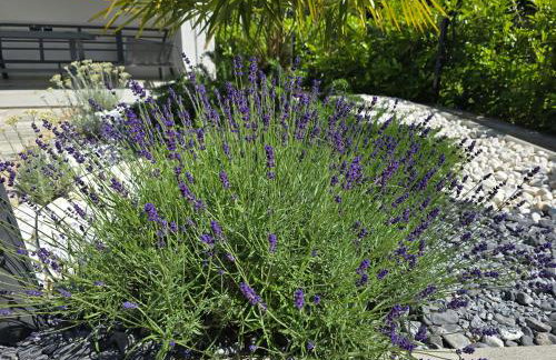 Villa L'Amore - Malinska - Foto 48