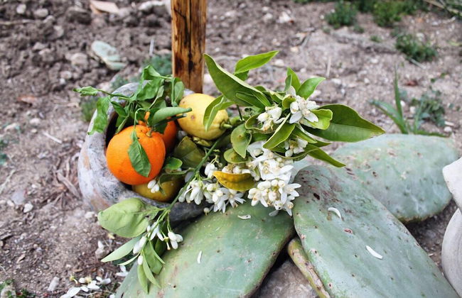 Tenuta Lanza Il Mulino - Photo 29