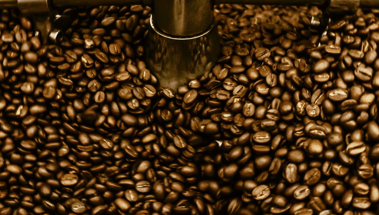 Tour privato del caffè a Santos