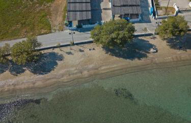 Filina's Studio - Foto 23