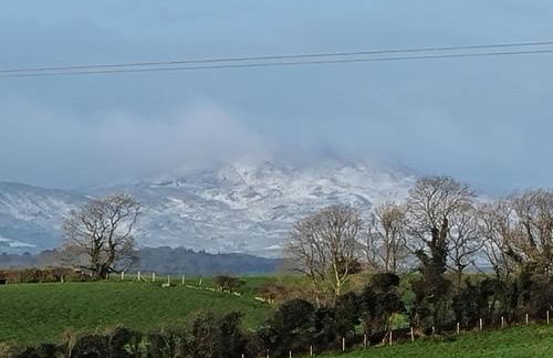 Hollymount Cottage - Foto 17