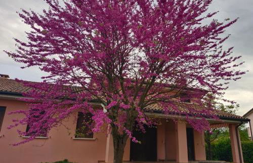 La taverna di Anna - Foto 1