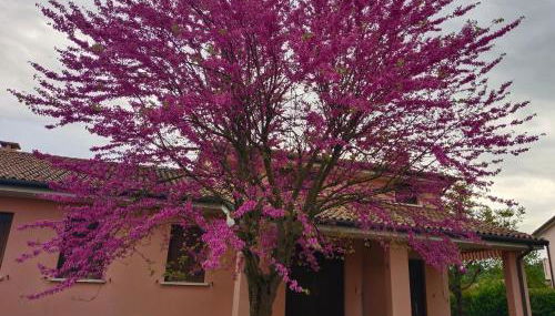 La taverna di Anna - Foto 1