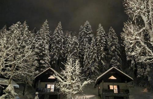 Gorska bajka - Smreka, kuća za odmor i wellness - Foto 30