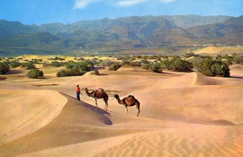 Doñana 924 - Foto 59