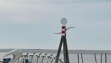 Seestern am Naturstrand - Foto 3