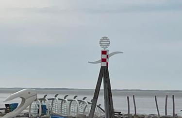 Seestern am Naturstrand - Foto 3