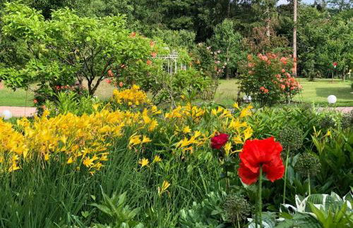 Holiday Home Ferienbungalow Anne by Interhome - Foto 22