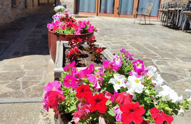 Casas Pirineo Aínsa: Historic Palace & Garden - Foto 70