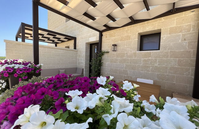 Gianfranco Fino Viticoltore - Foto 8