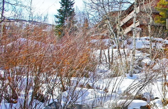 Terracehouse by Snowmass Vacations - Foto 17