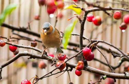 Room with a view - Photo 44