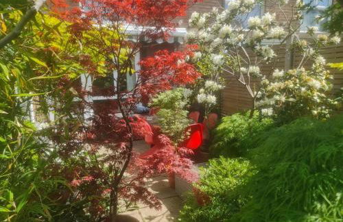 Beautiful 3 bedroom house Stockwell central London - Foto 39