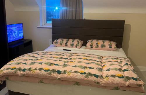 Komegloba Mega room - Foto 1