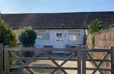 The Salty Bee - Photo 1