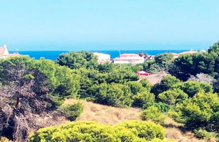 Palmview Poolside Heaven in Turquesa del Mar - Foto 54