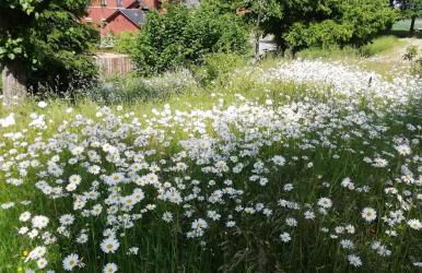 Ferienwohnung Bänsch - Foto 11