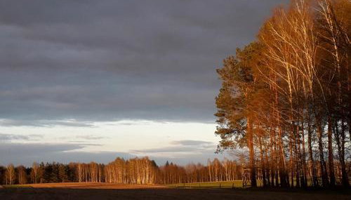 Agroturystyka Szafarnia 19 - Foto 5