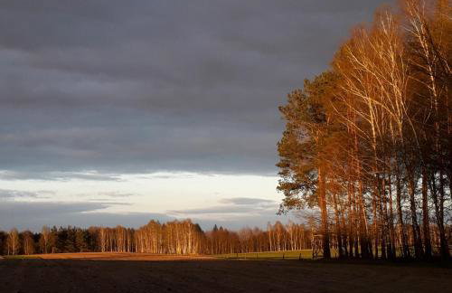 Agroturystyka Szafarnia 19 - Foto 5