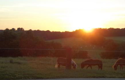 Gite Du Colombier - Foto 40