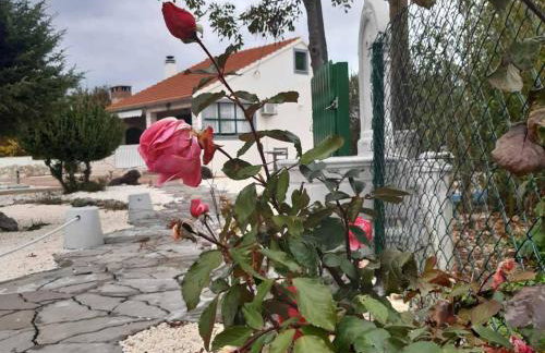 Holiday Home Mystic Woods - Foto 39