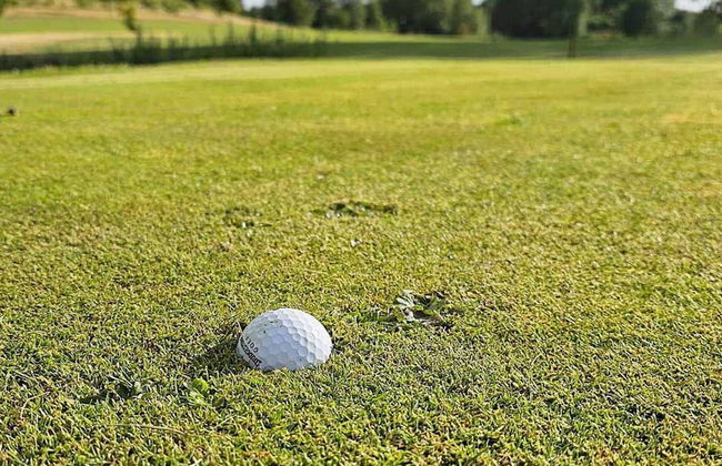 4 Person Holiday Home in Lovestad - Foto 8